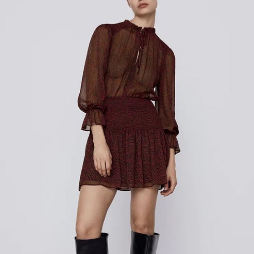 Zara Sheer Drop Waist Zebra Dress